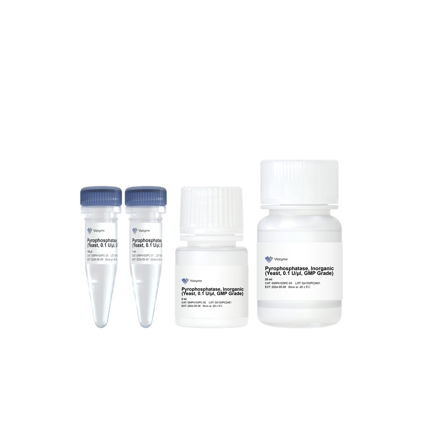 Pyrophosphatase, Inorganic (Yeast, 0.1 U/μl, GMP Grade)