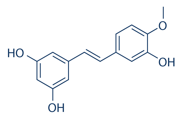 Rhapontigenin