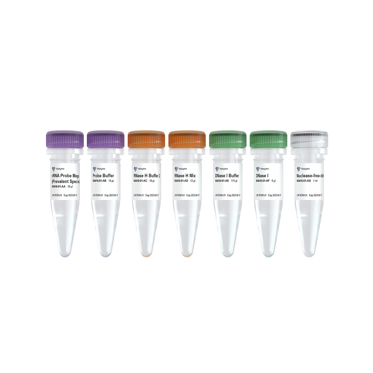 Ribo-clean rRNA Depletion Kit Mega (Prevalent Species)