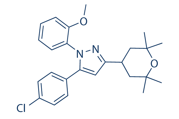Cav 2.2 blocker 1
