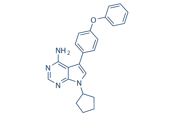 RK 24466