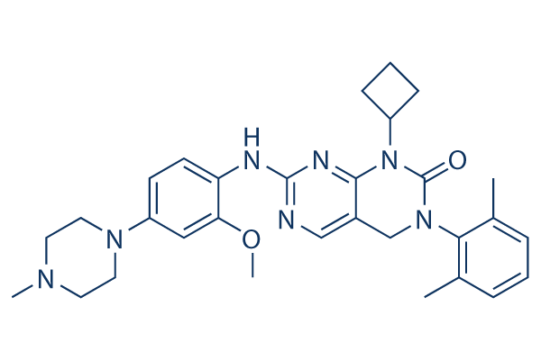 YKL 06-061