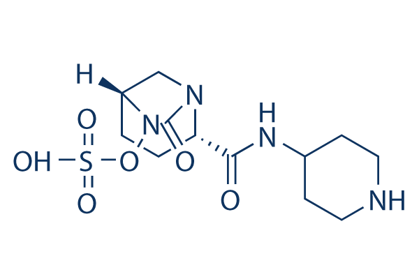 Relebactam