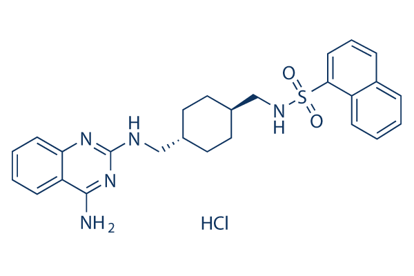 CGP71683 hydrochloride