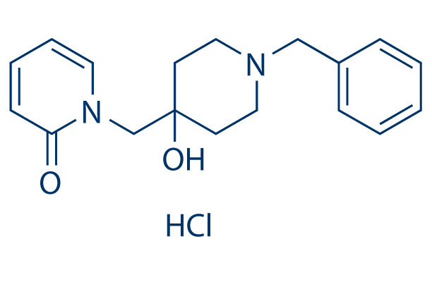 YL 0919