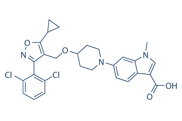 LY2562175