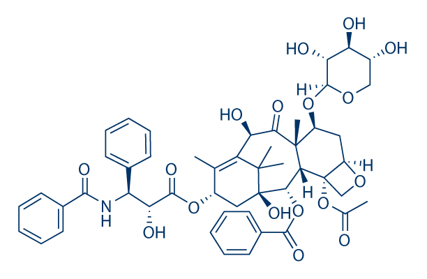 10-Deacetyl-7-xylosyl paclitaxel