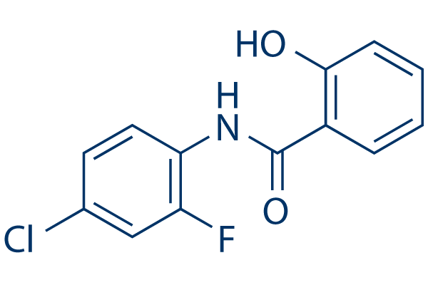 NDMC101