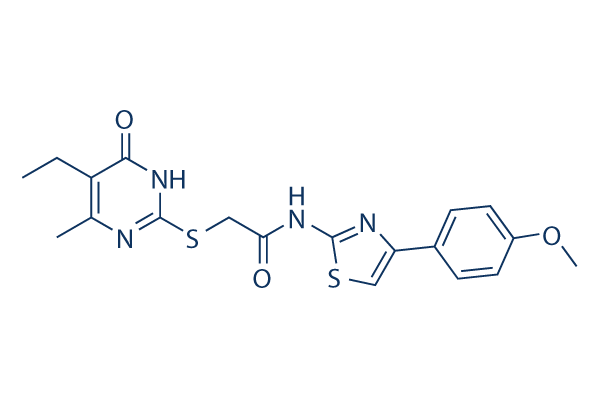 T16Ainh-A01