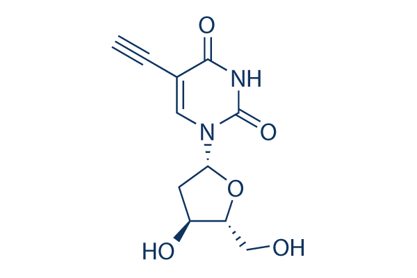 5-Ethynyl-2'-deoxyuridine (EdU)