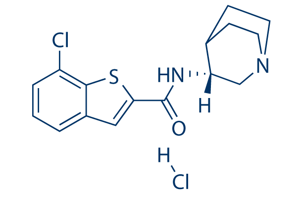 Encenicline (EVP-6124)hydrochloride