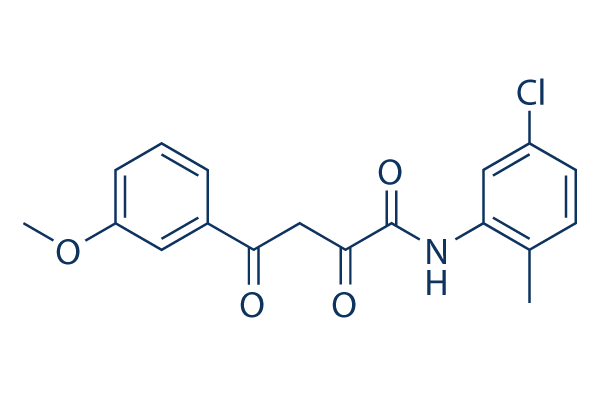 SEC inhibitor KL-1