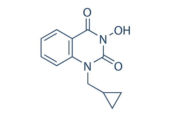 FEN1-IN-4