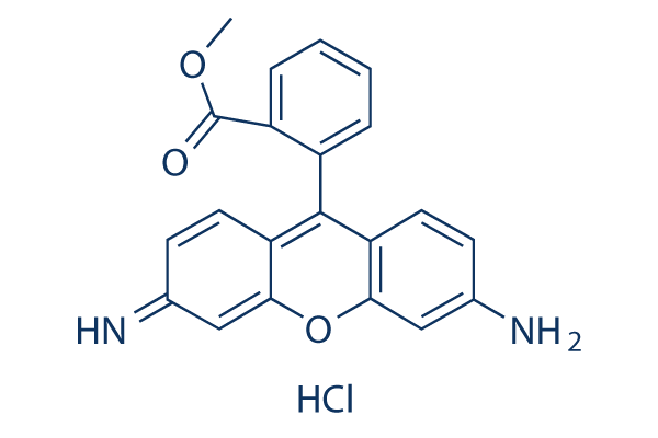 Rhodamine 123