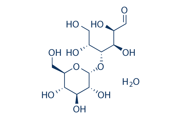 Maltose monohydrate