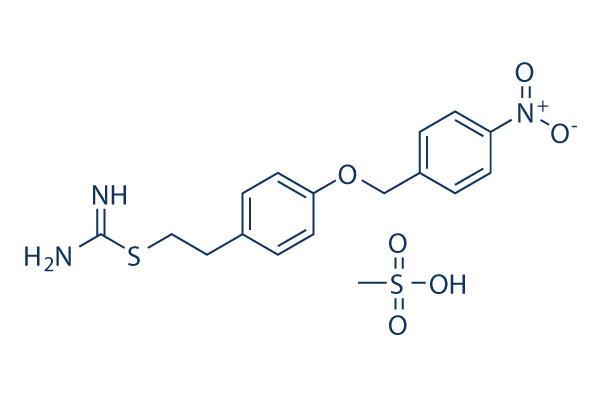 KB-R7943 mesylate