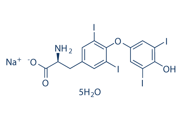 L-Thyroxine sodium salt pentahydrate