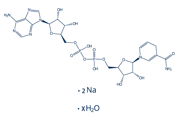 NADH Disodium Salt Hydrate