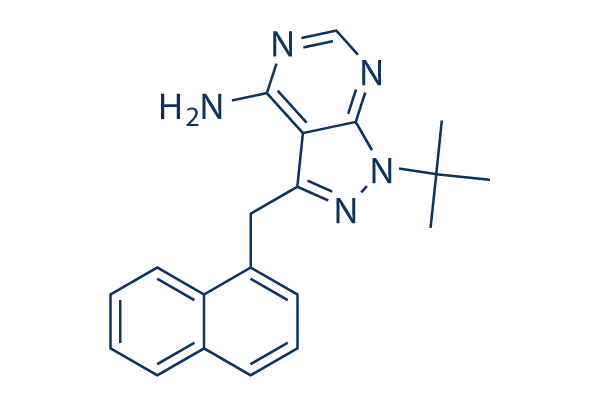 1-NM-PP1