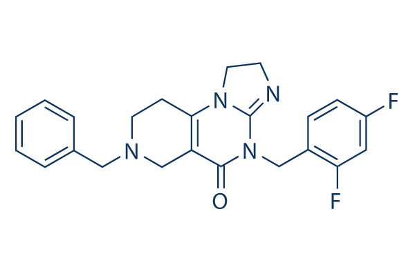 ONC206