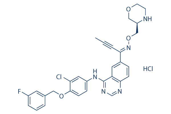 Epertinib hydrochloride