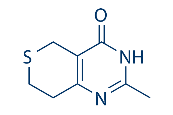 DR2313