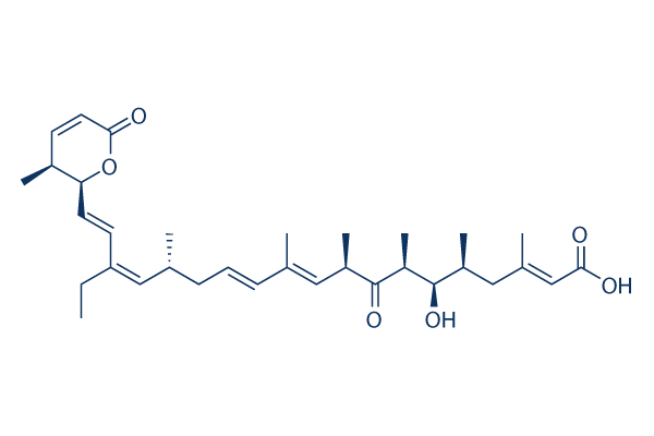 Leptomycin B (LMB)