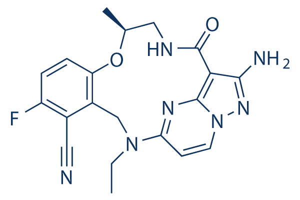 Elzovantinib (TPX-0022)