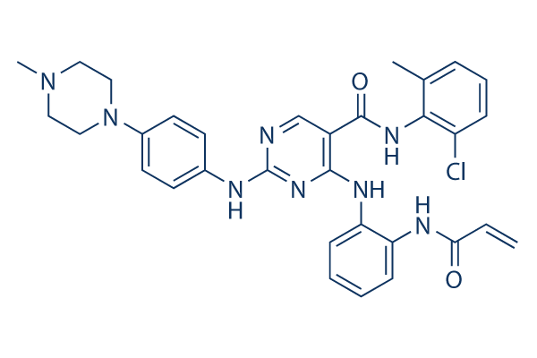 DGY-06-116