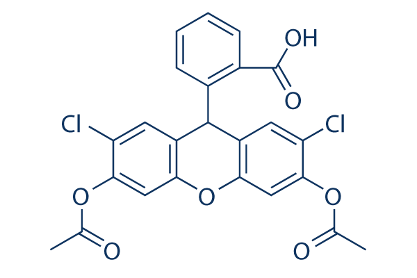 H2DCFDA (DCFH-DA)