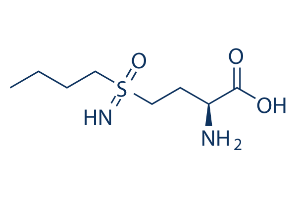 L-Buthionine- (S,R)-sulfoximine (L-BSO)