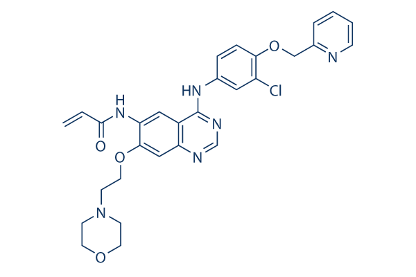 Tuxobertinib (BDTX-189)