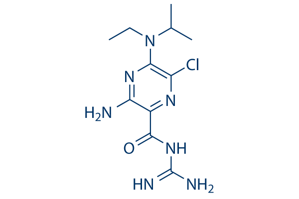 EIPA (L593754)