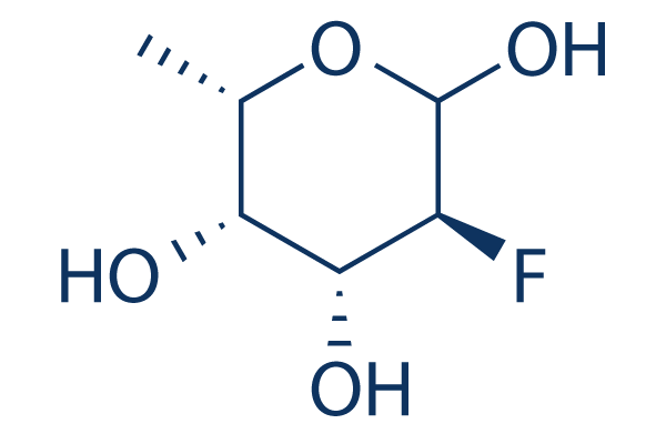 SGN-2FF