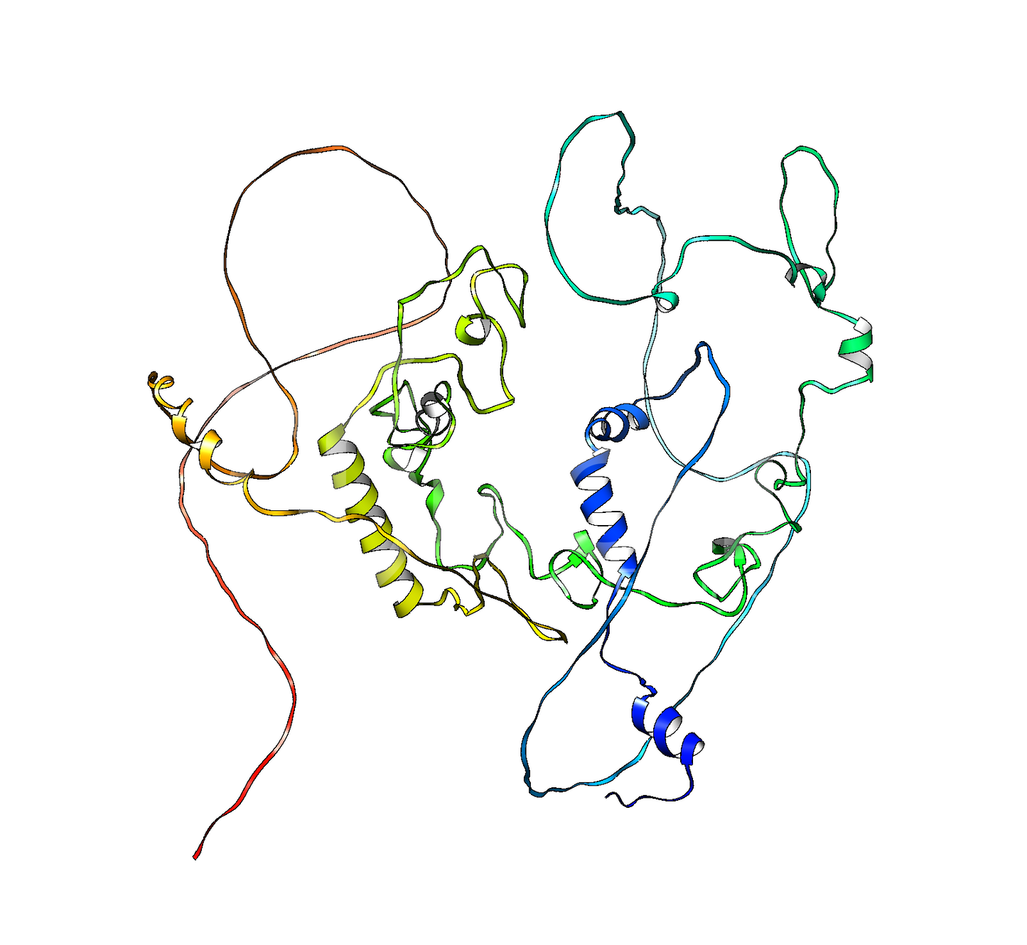 ZCCHC7 (Human) Antibody - Western Blot Validated