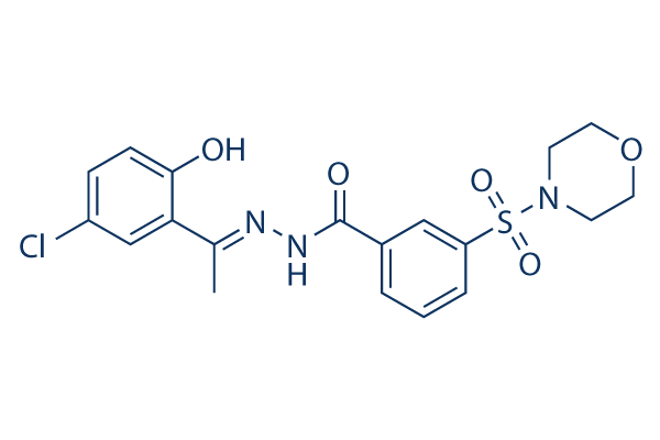 SP2509