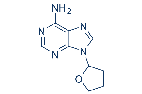 SQ22536
