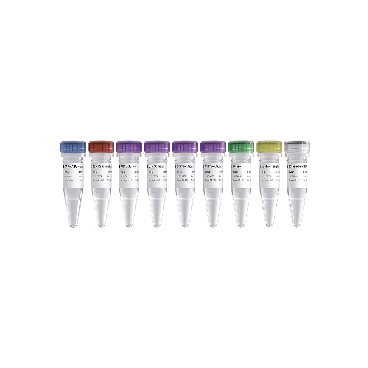 T7 High Yield RNA Transcription Kit
