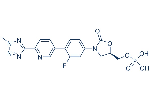 Tedizolid Phosphate
