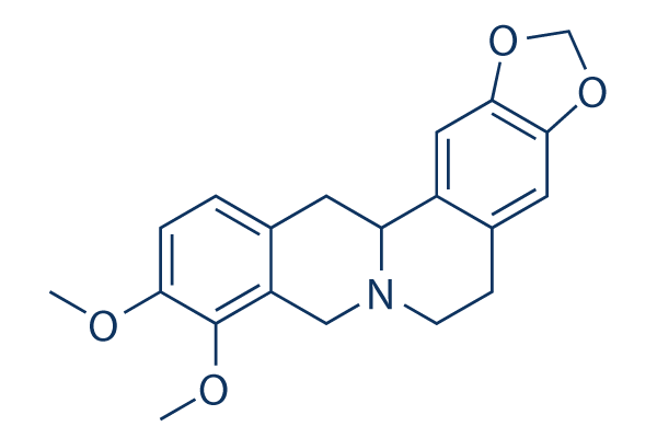 Tetrahydroberberine