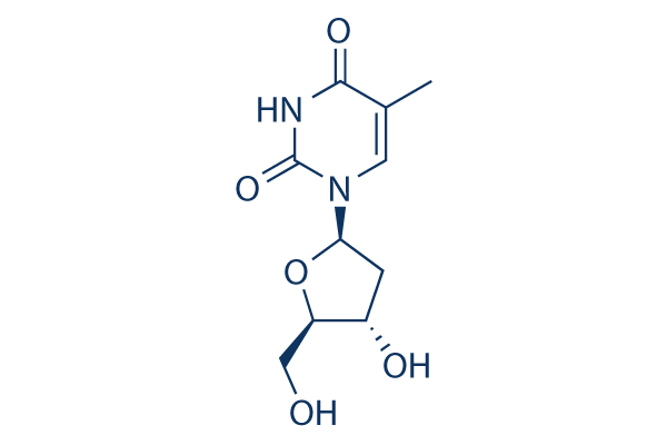 Thymidine