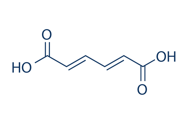 trans-trans-Muconic acid