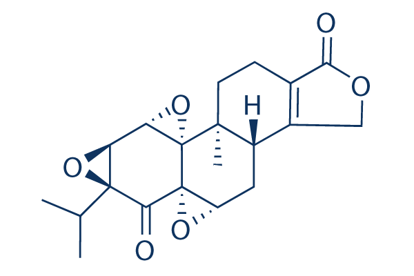 Triptonide