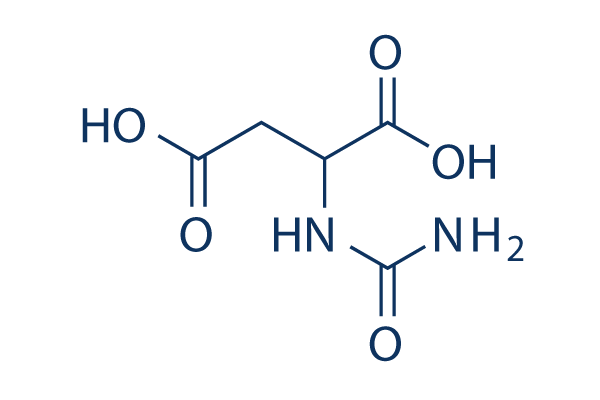 Ureidosuccinic acid