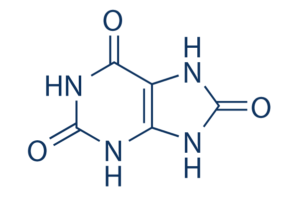 Uric Acid