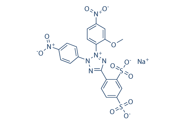 WST-8