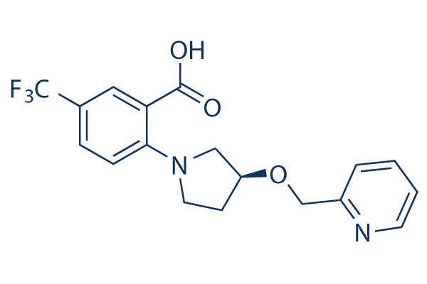 XEN445