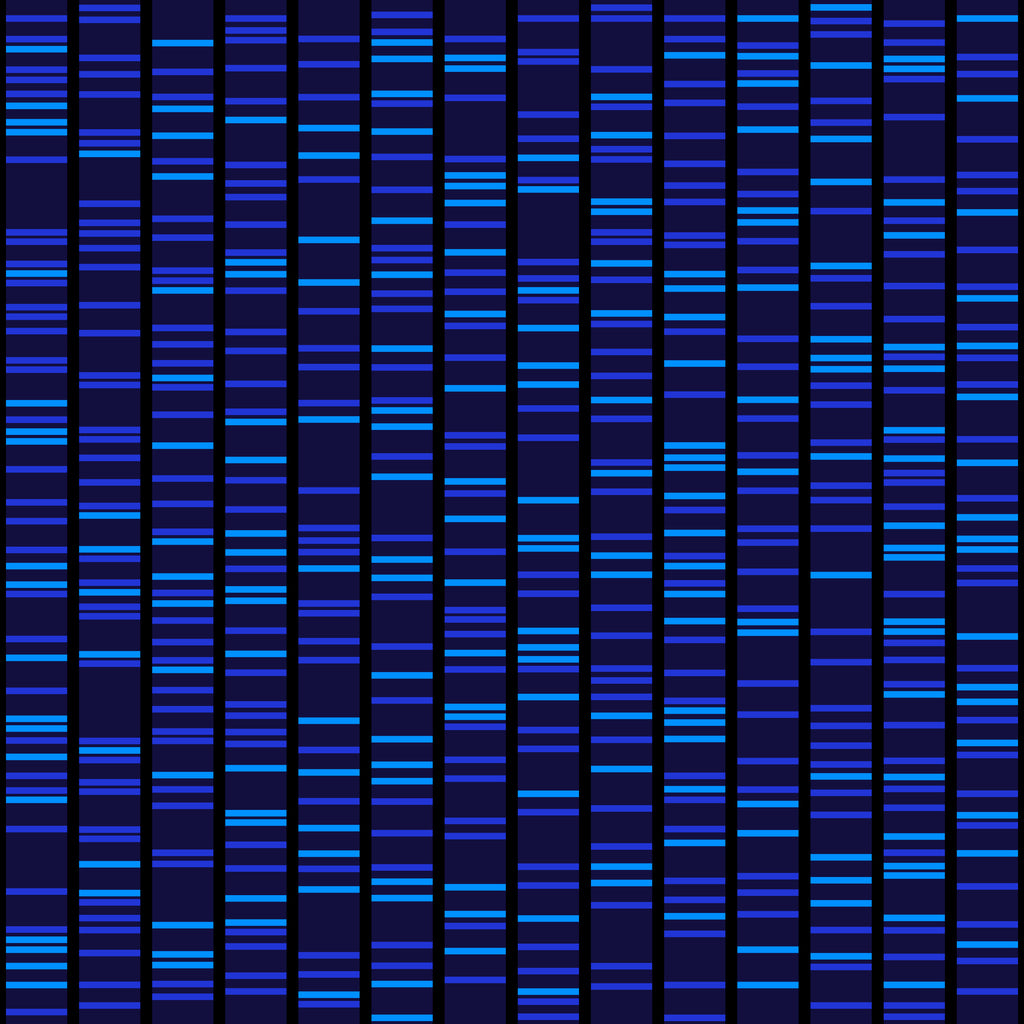 Absource Antibodies, Reagents & Assay Kits | Absource Diagnostics