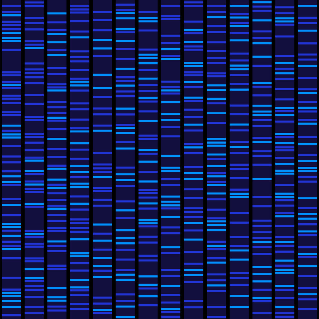 Sequencing