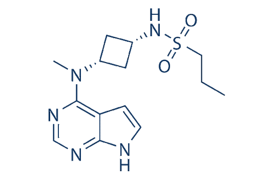 Abrocitinib (PF-04965842)